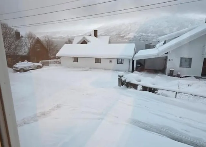 Arctic Nine - Nr 9 - On The Island